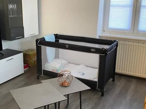 Lägenhet Bright 2rooms Apartment, 3 Min From Basel, Parking